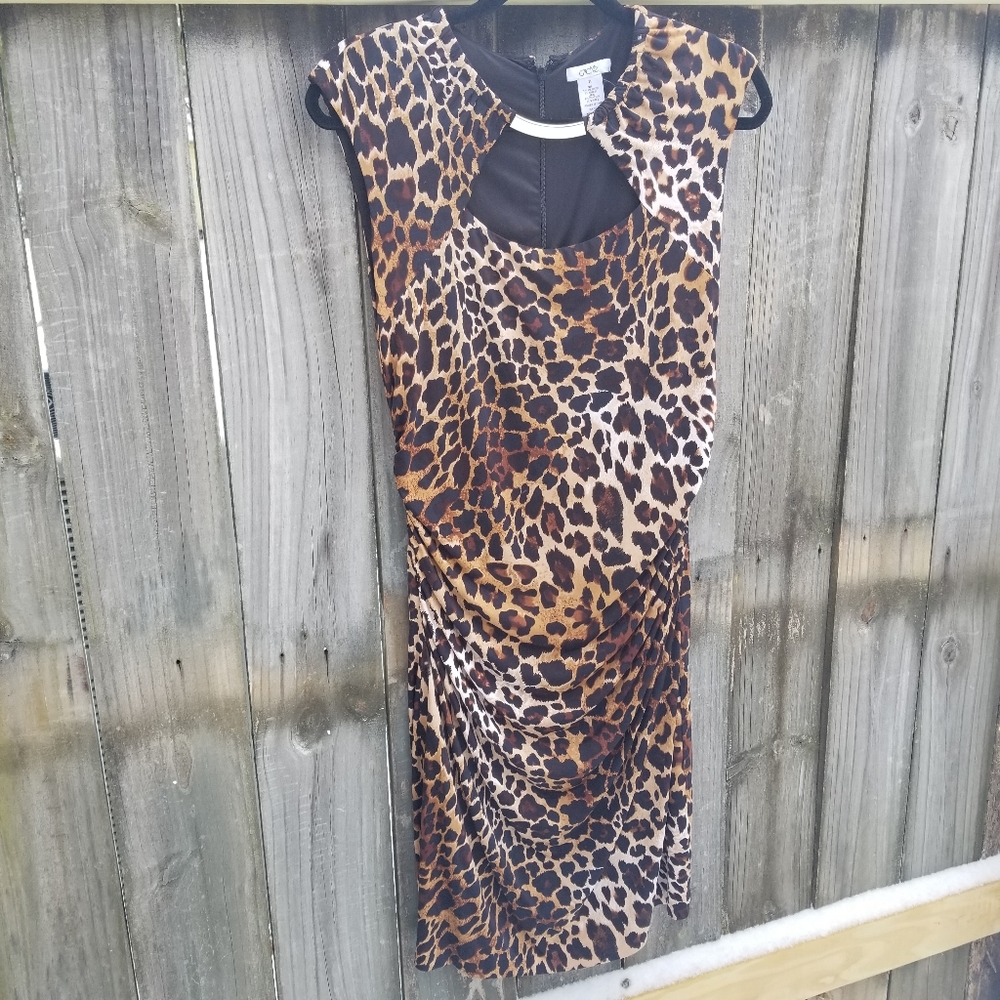 Leopard Print Dress